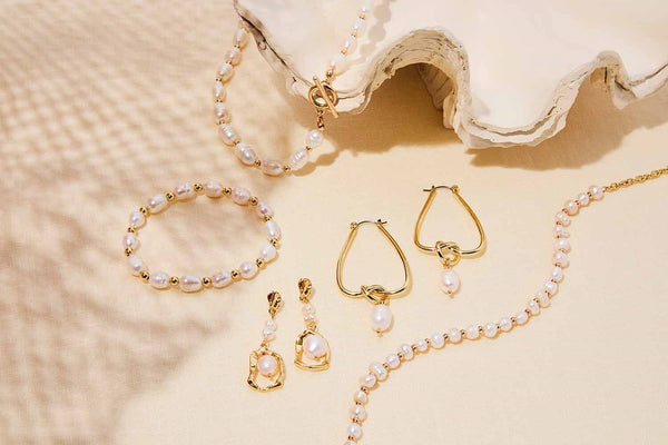 Text and image section