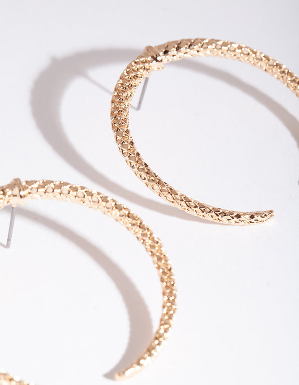 CAMP19 FGOLD SG SMI CRCL HP ER