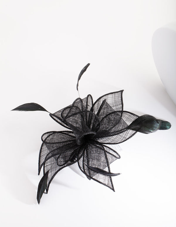 OCHR SINA BLK STRW FLW FTHR CL