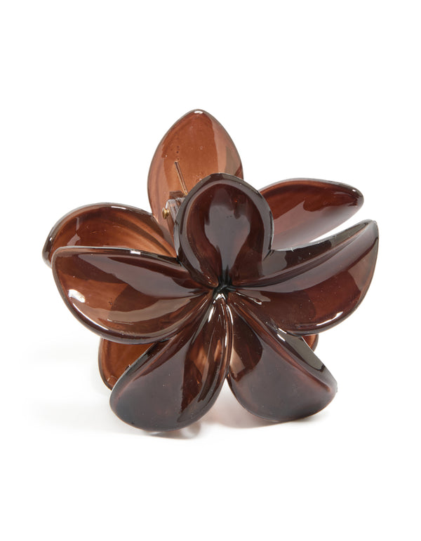 Brown Solid Claw Clip