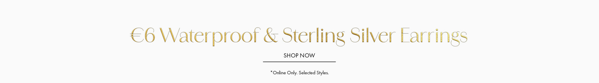 Decorative Homepage Banner