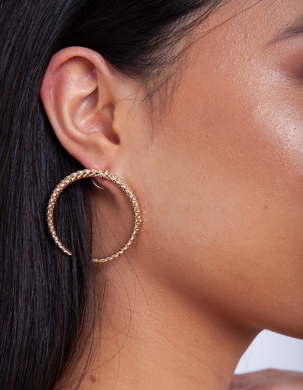 CAMP19 FGOLD SG SMI CRCL HP ER