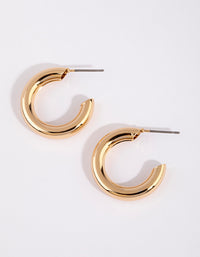 Gold Chubby Huggie Earrings - link has visual effect only