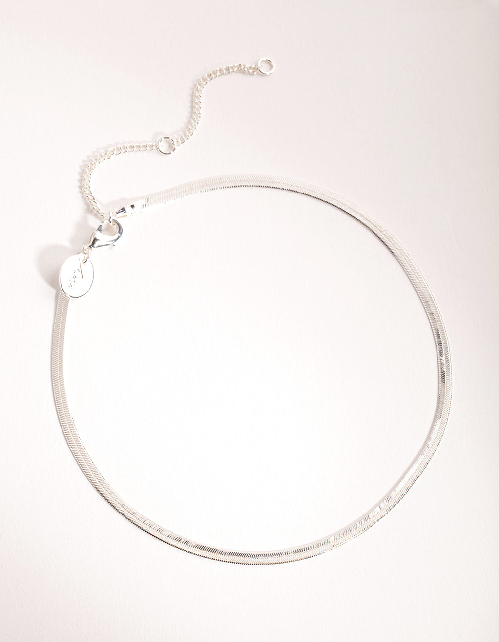 Silver Snake Choker