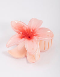 Acrylic Ombre Tropical Claw Clip - link has visual effect only