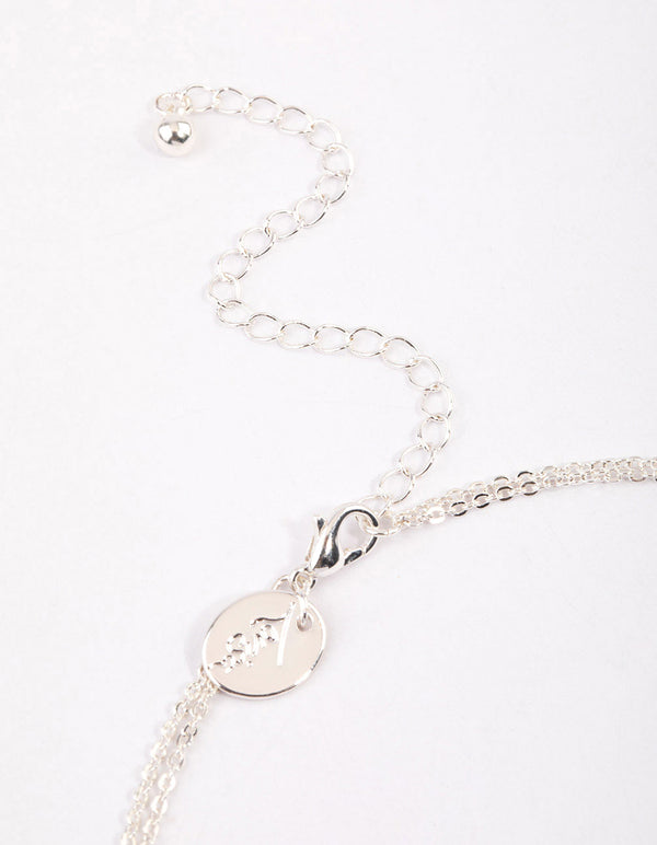 Silver Double Row Cubic Zirconia Necklace & Polishing Set