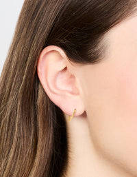 Gold Plated Sterling Silver Hoop Earrings 12mm - link has visual effect only