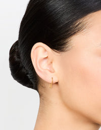 Gold Plated Titanium Sleeper Earrings 14 mm - link has visual effect only