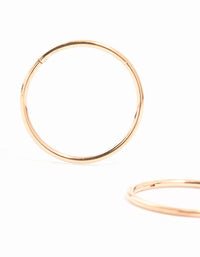 Rose Gold Plated Titanium Sleeper Earrings 16 mm - link has visual effect only