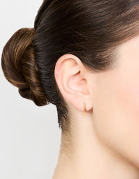 Gold Plated Titanium Sleeper Earrings 12 mm - link has visual effect only