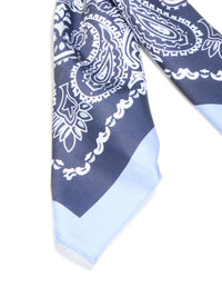 White & Blue Deco Paisley Fabric Scarf - link has visual effect only