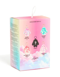 Scented Bunny Blind Box 1 - link has visual effect only