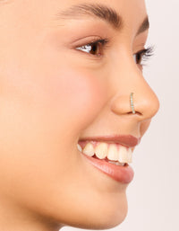 Showcasing gold plated surgical steel cubic zirconia hinged and plain nose rings in a 2-pack with hoop closure nose view - link has visual effect only
