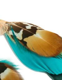 Gold Brown & Blue Feather Drop Earrings - link has visual effect only