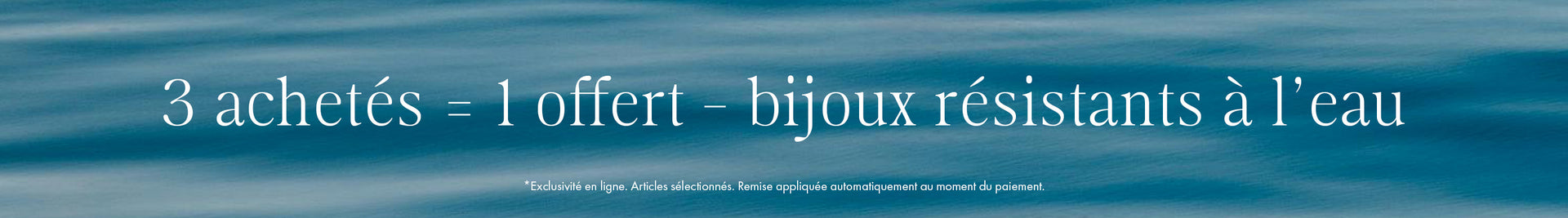 Decorative Homepage Banner