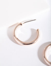 Rose Gold Small Hoop Earrings - link has visual effect only