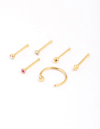 Gold Plated Surgical Steel Nail & Arrow Nose Ring 6-Pack - link has visual effect only